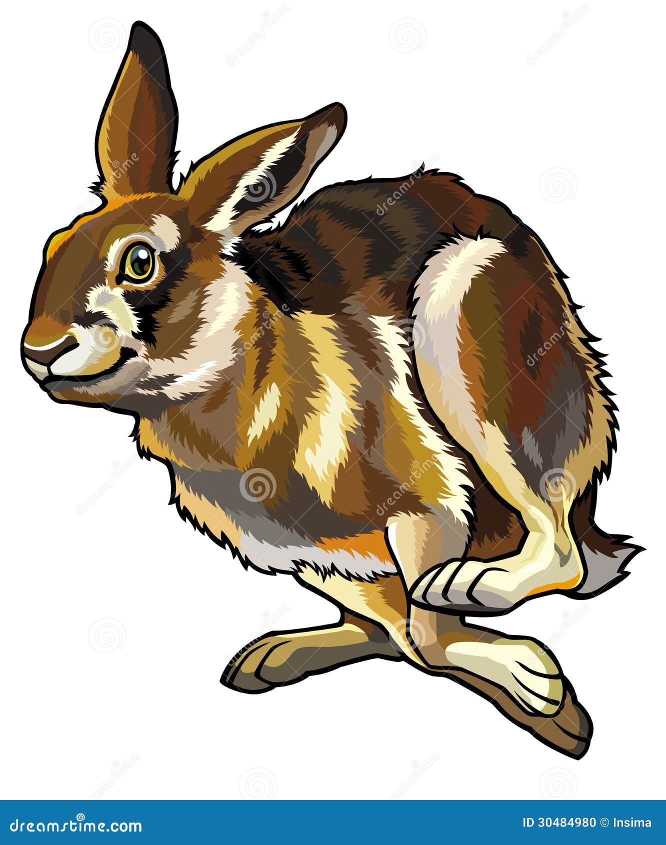 running hare