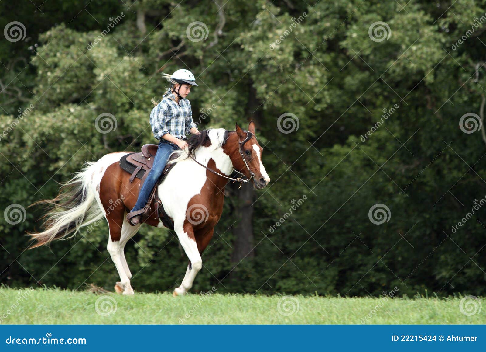 Running horse stock photo. Image of field, cowboy, graceful 22215424