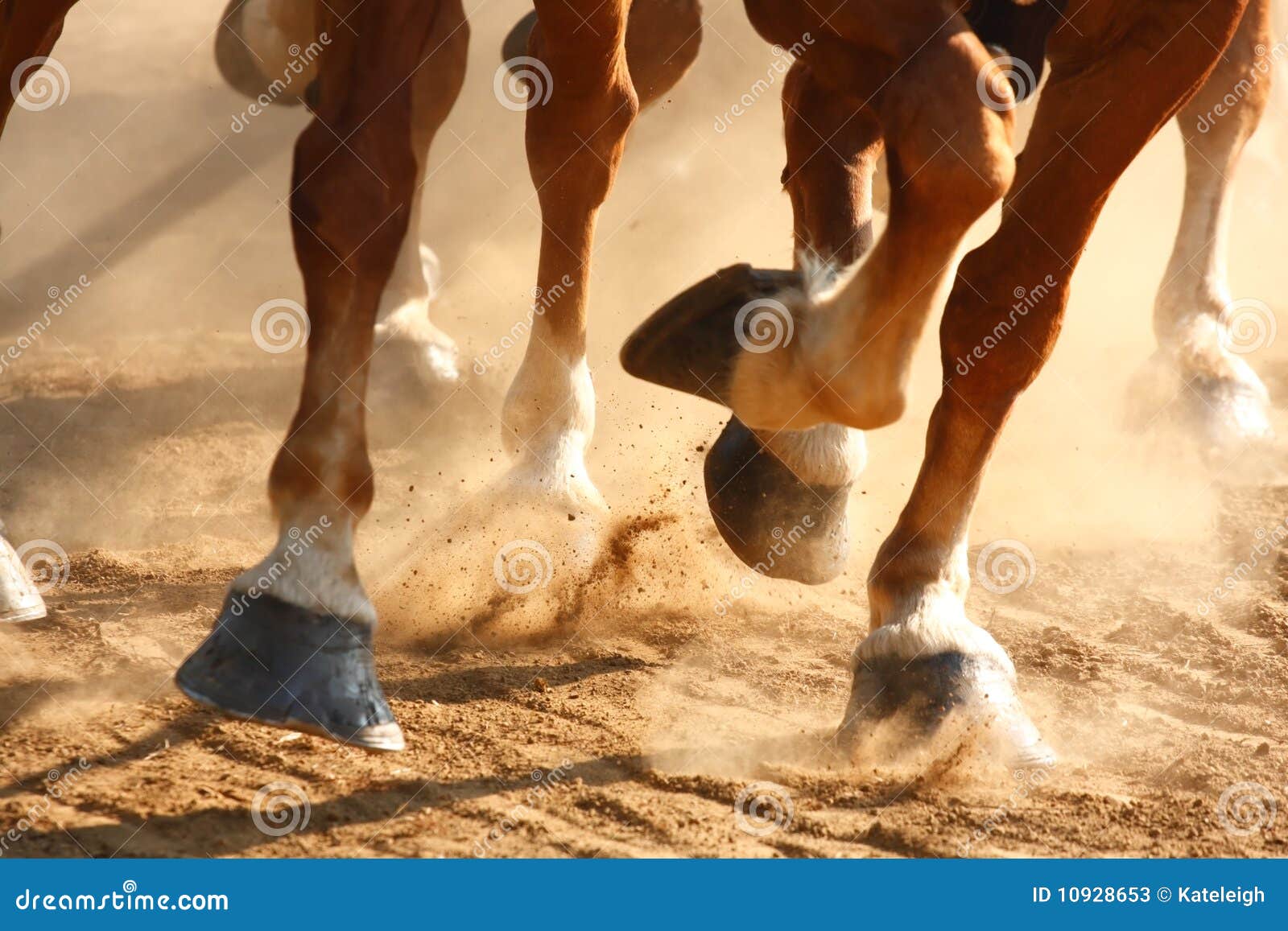 running horses hooves