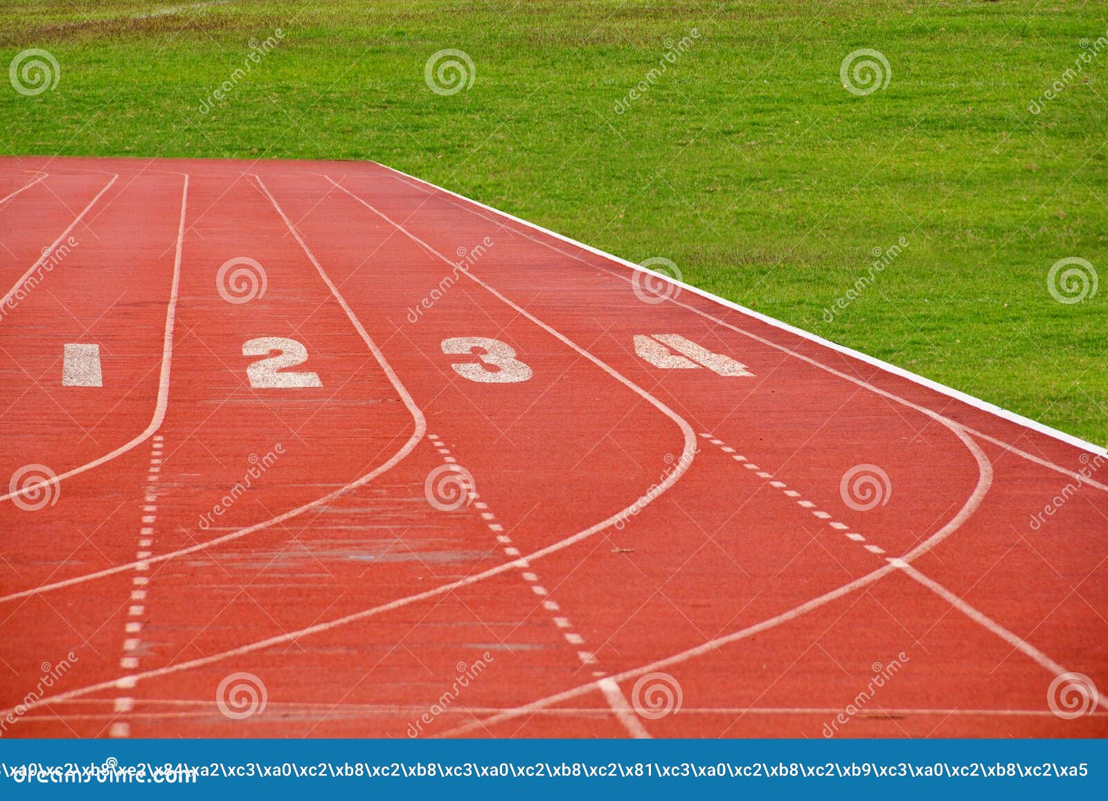 Running Lane with Grass Field Stock Image Image of flag, light 26266047
