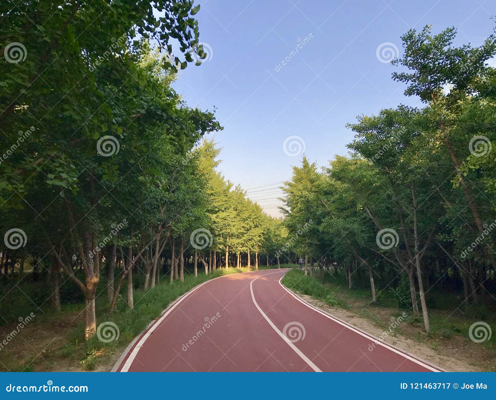 Blue sky green trees and sunny sunshine running path. Running path with green trees and blue sky