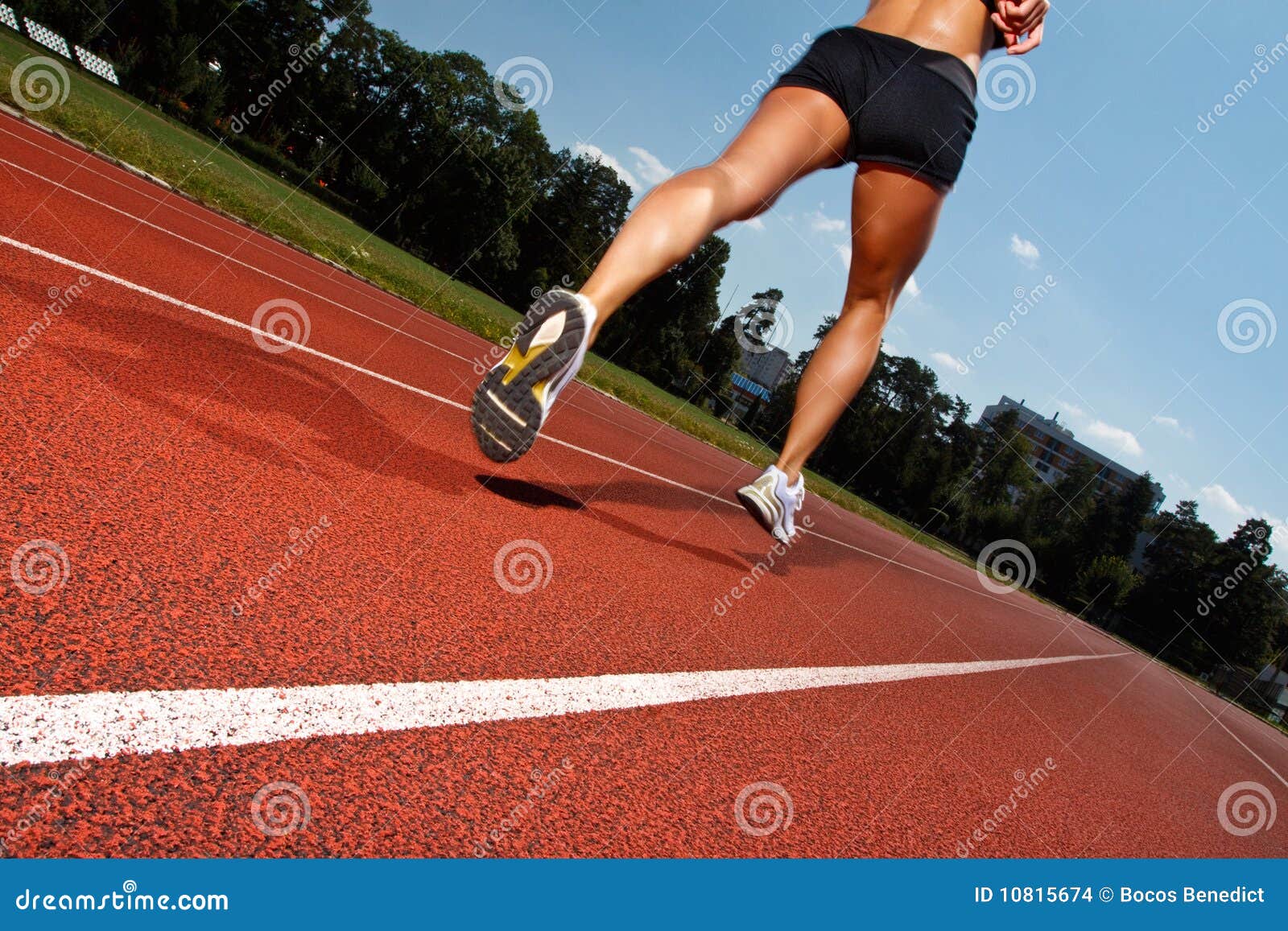 running dynamics