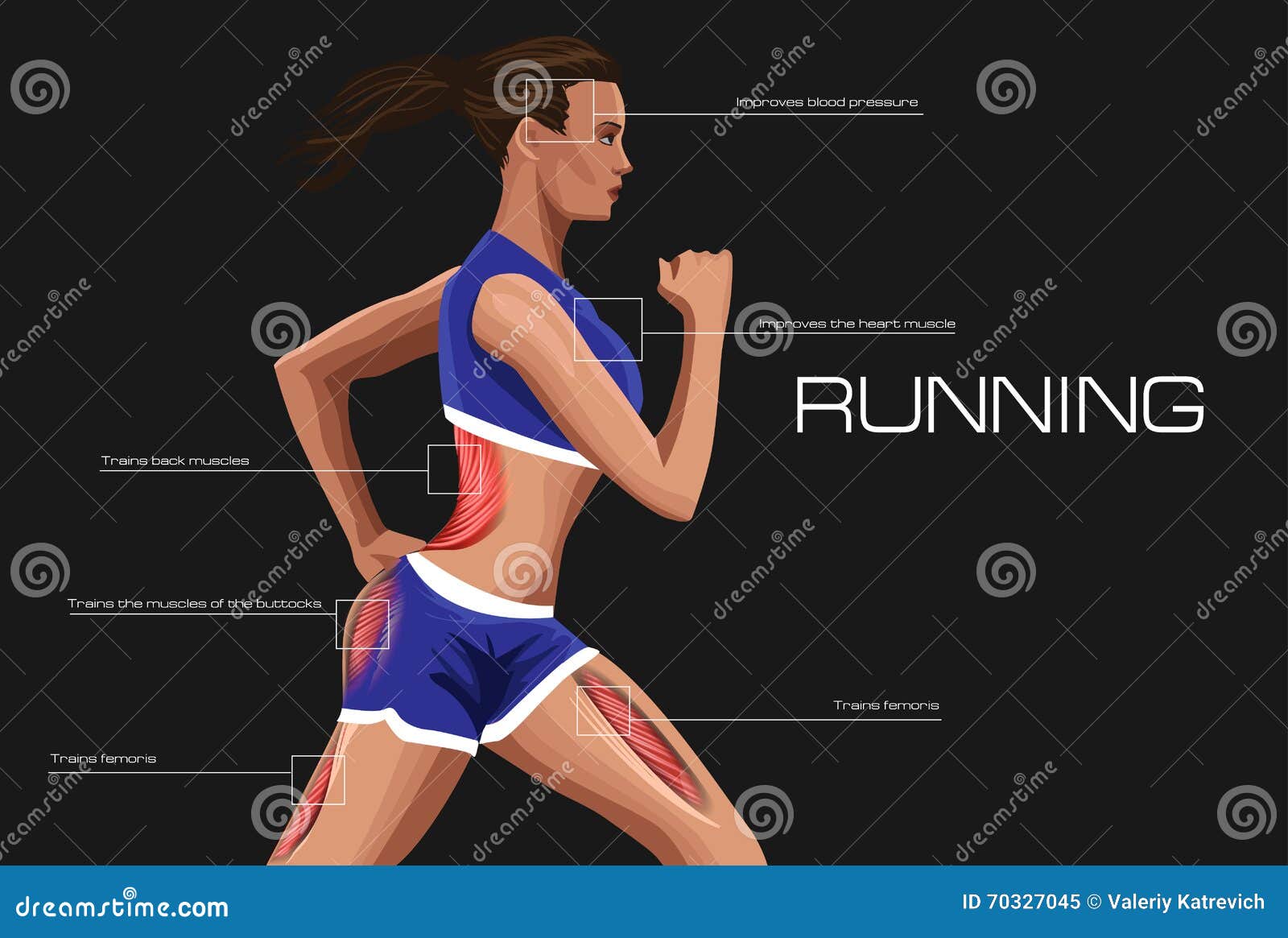 running woman. annotation anatomical muscle training.