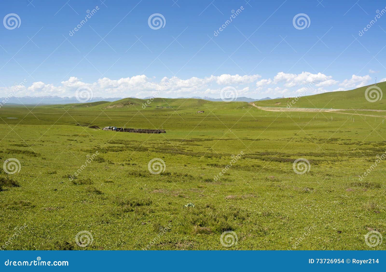 ruoergai grassland