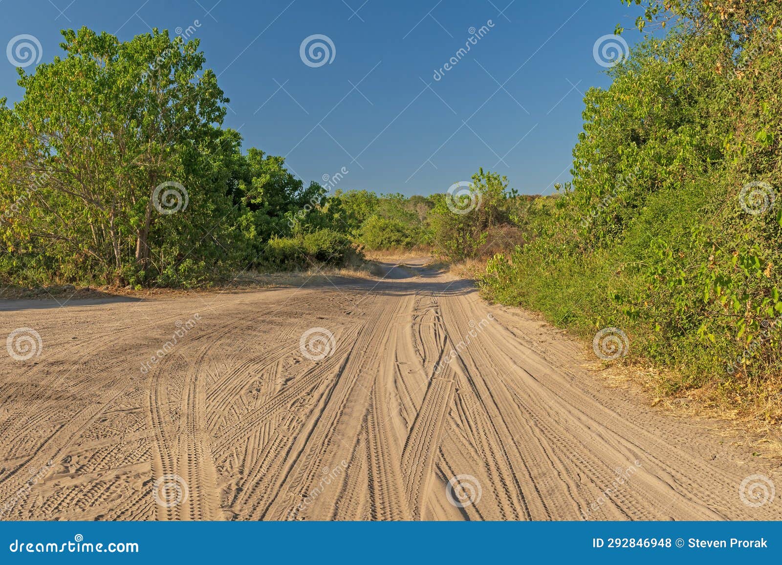 rural dirt road in the african veldt