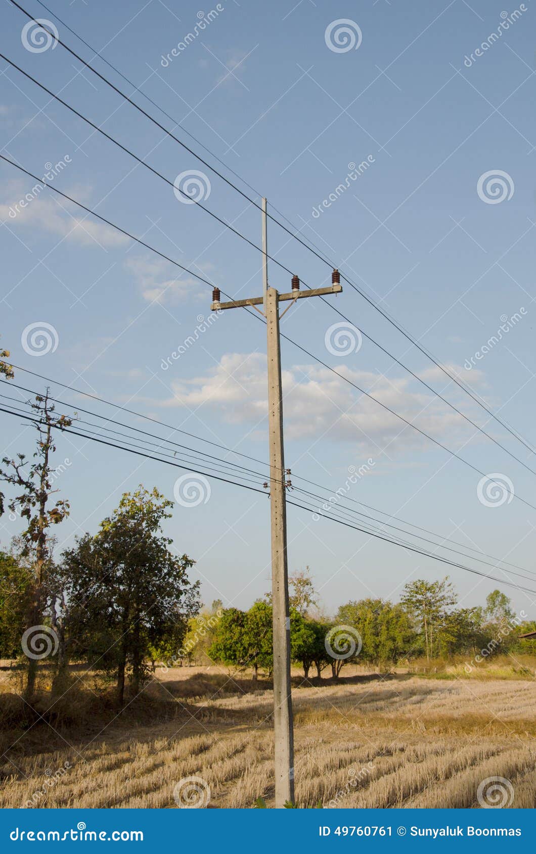 Rural Electrical Post by the Road Stock Image Image of capacitor