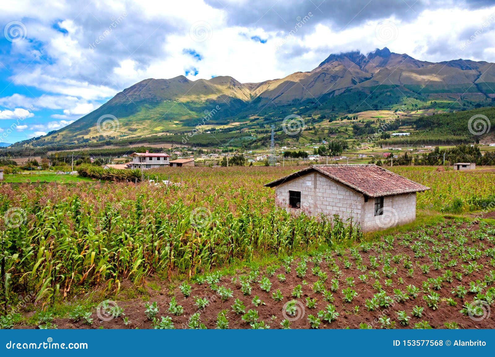 Rural Farm At The Base Of The Imbabura Volcano Ecuador Stock