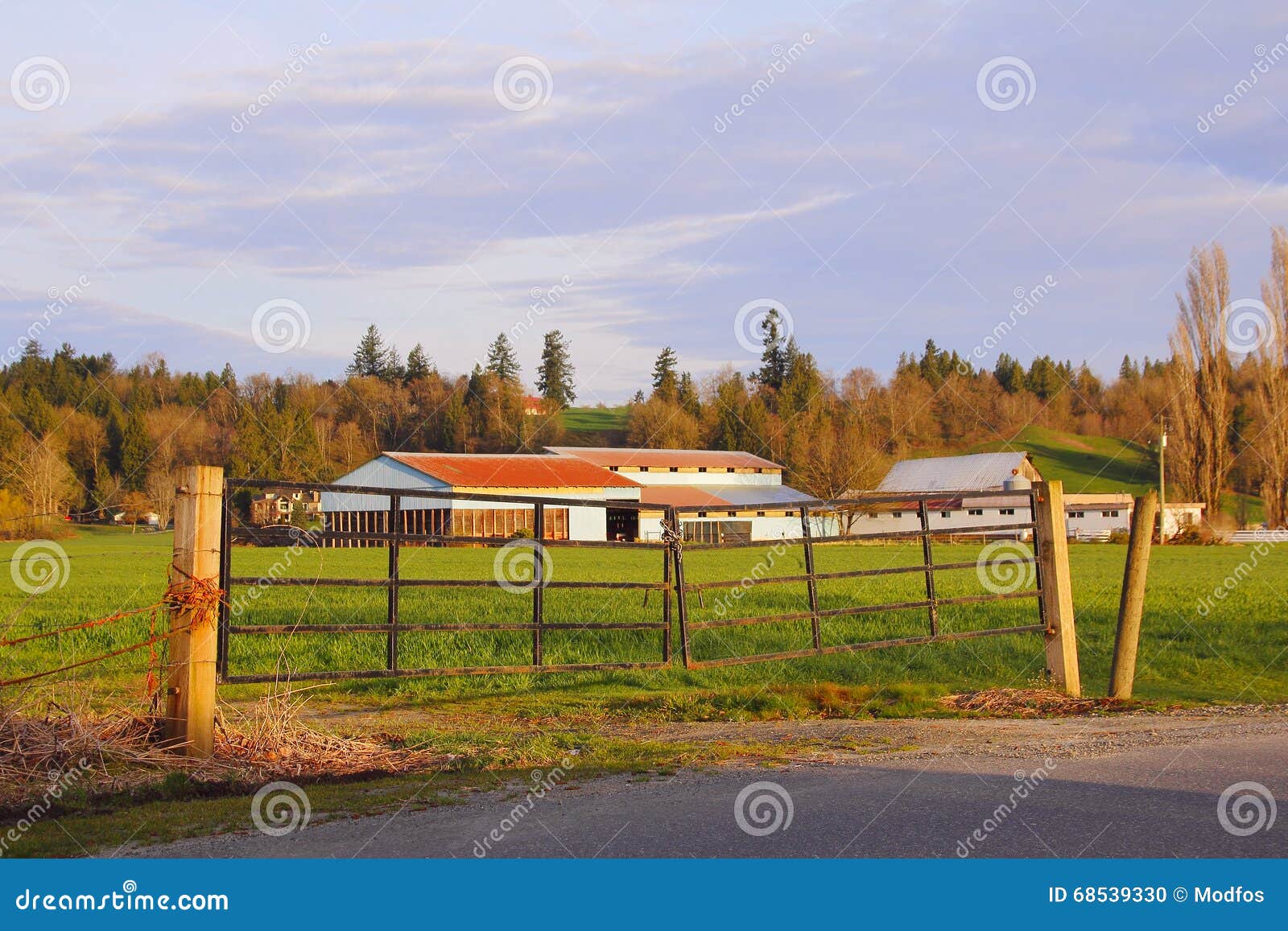 Rural Farm Gate stock photo. Image of roadside, acre - 68539330