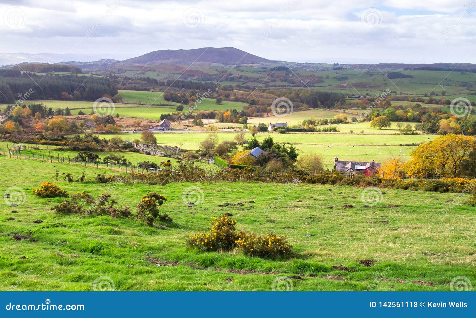 Rural Farmland in Shropshire, England Stock Photo Image of live