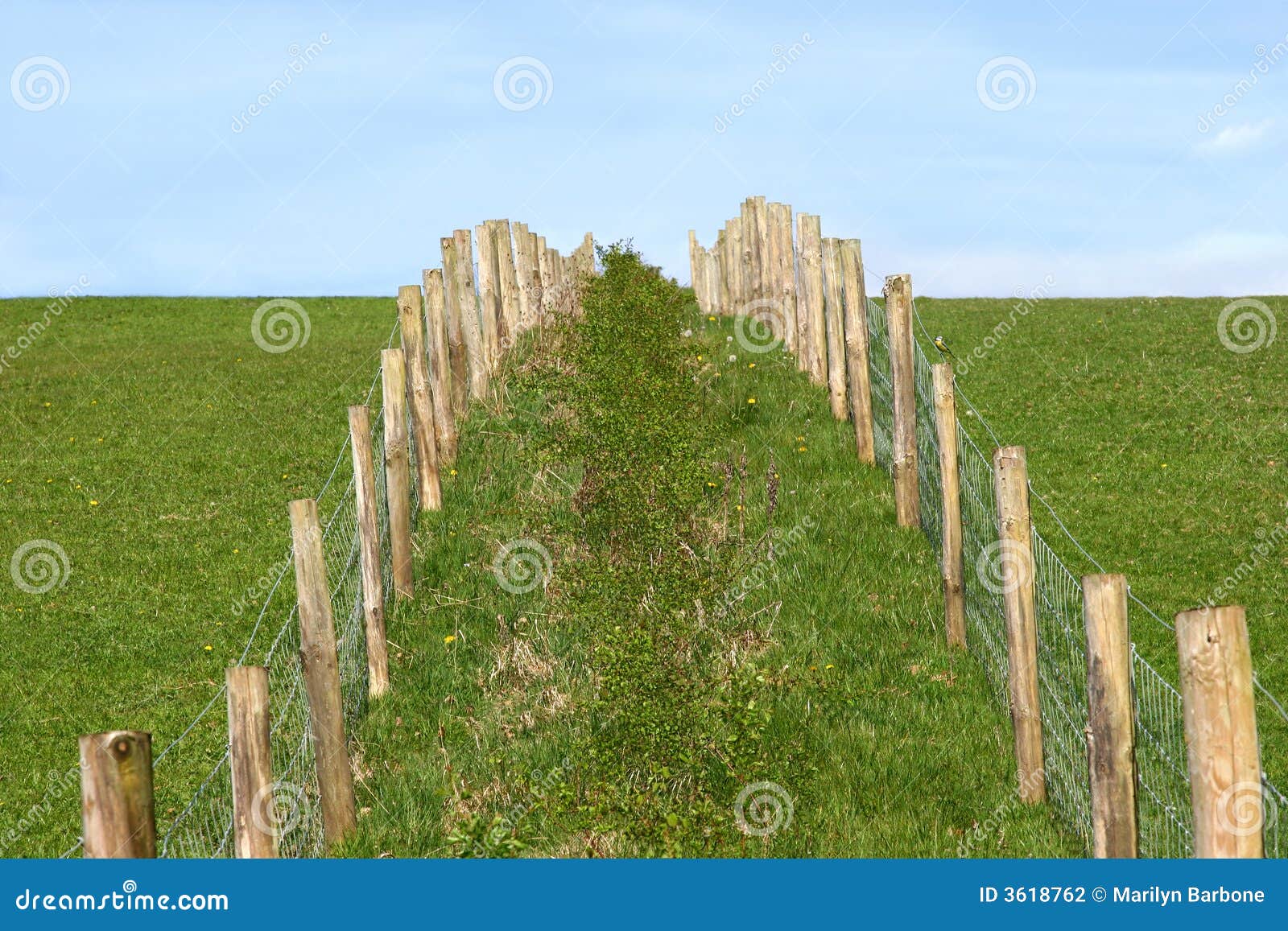 Rural Fencing stock photo. Image of angles, double, fencing 3618762