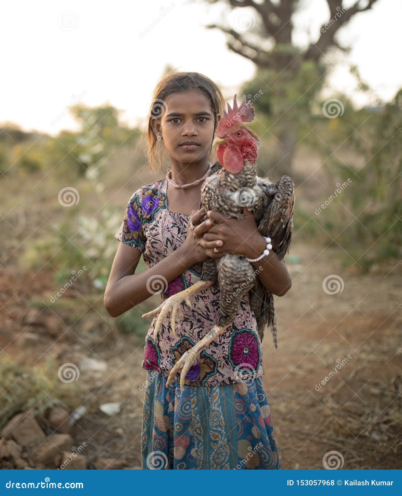 Sexy Indian Village Girl Photos - Free & Royalty-Free Stock Photos from  Dreamstime