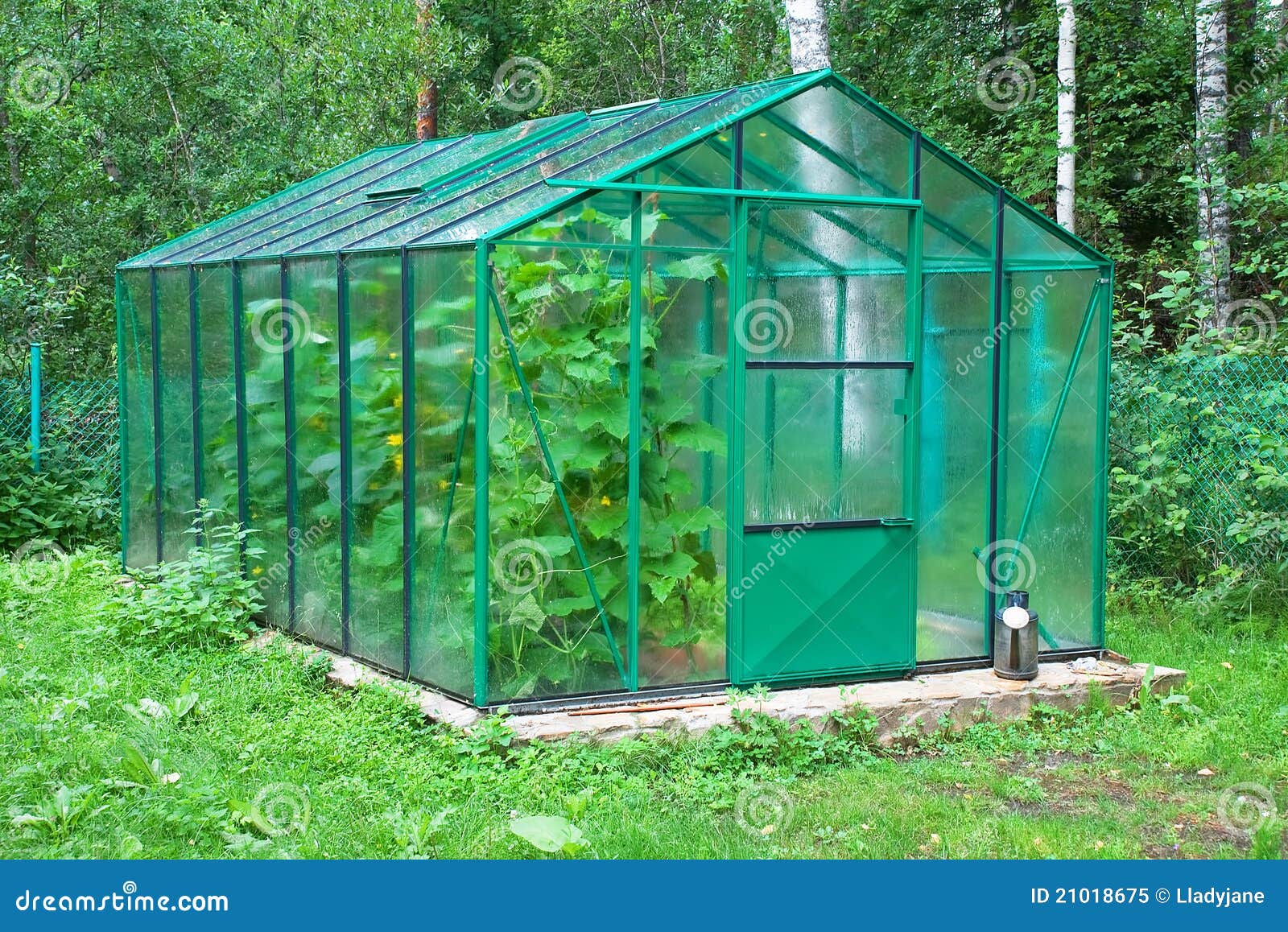 Rural greenhouse stock image. Image of trees, agriculture 21018675