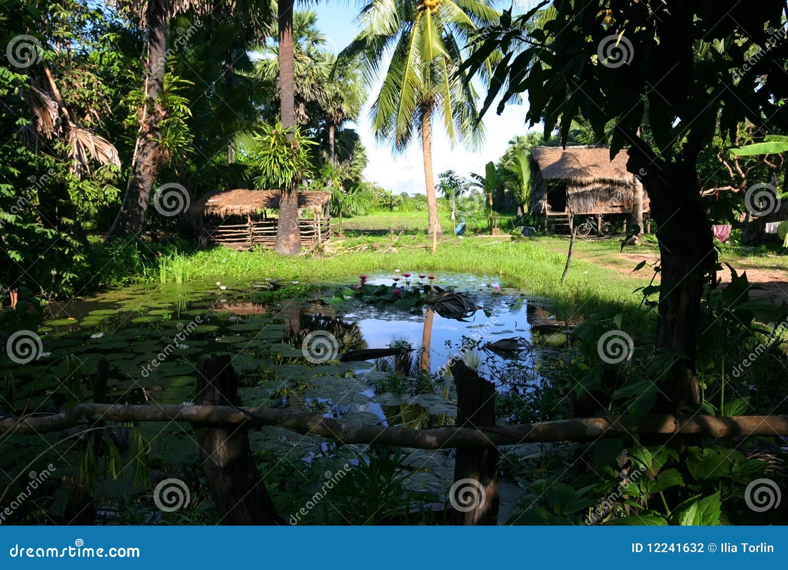 rural houses in cambodia. near siem reap.