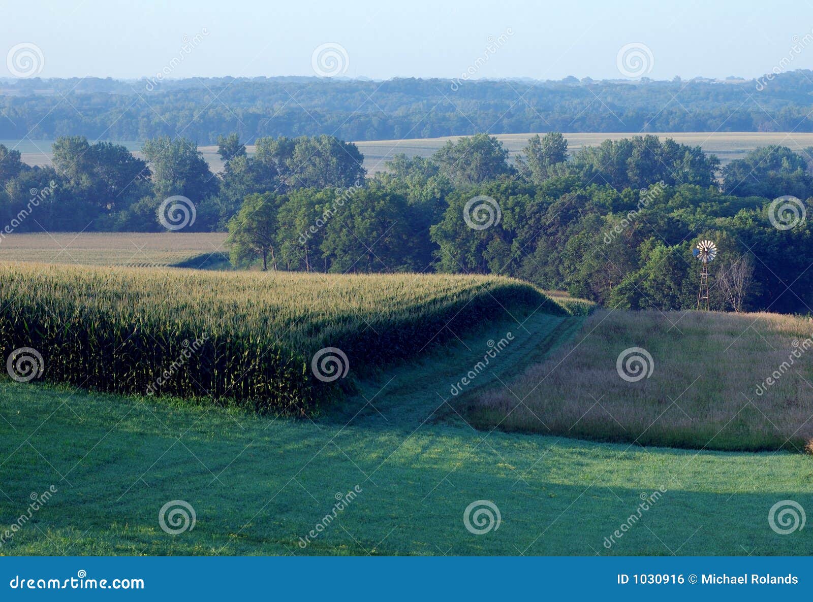 Rural Iowa landscape stock photo. Image of field, morning 1030916