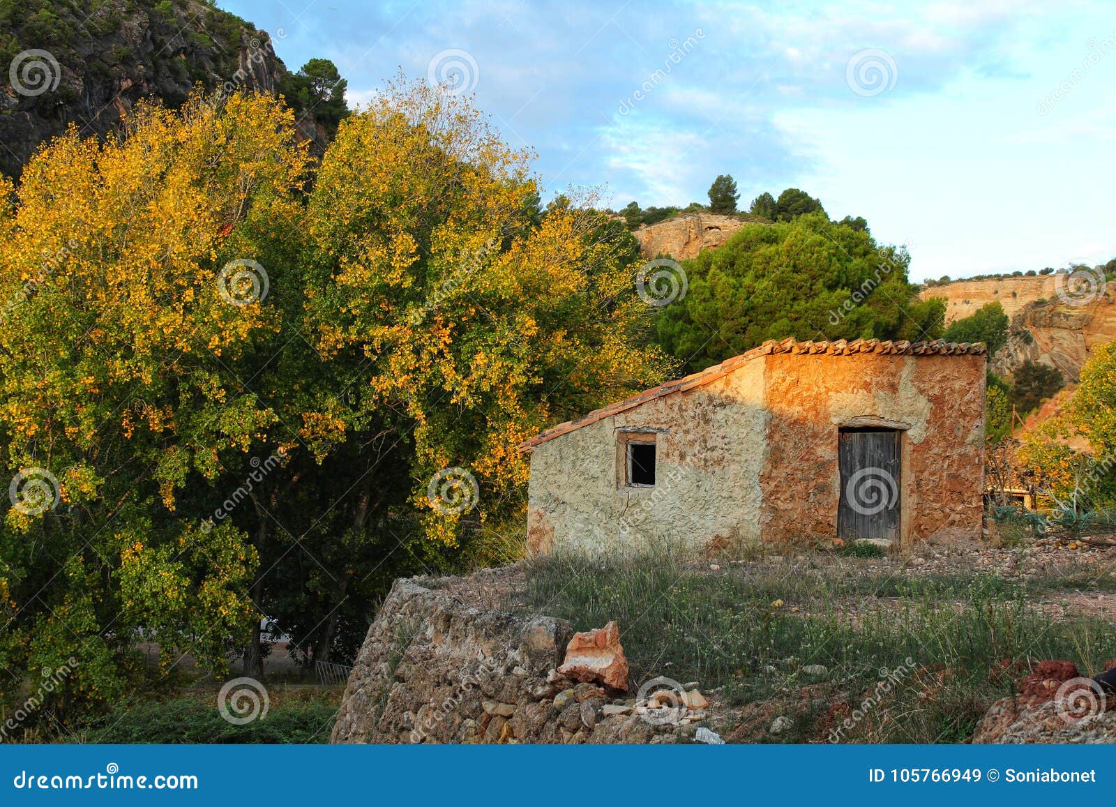 Rural Landscape in Chelva, Valencia Stock Image Image of grapevine, bright 105766949