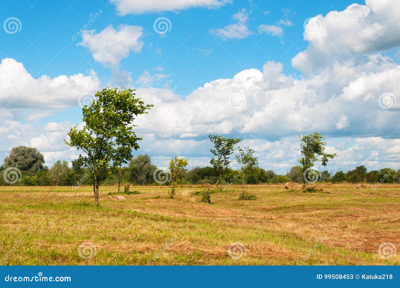 Rural Landscape of Field of Haystacks Under Cloudy Sky. Stock Image ...