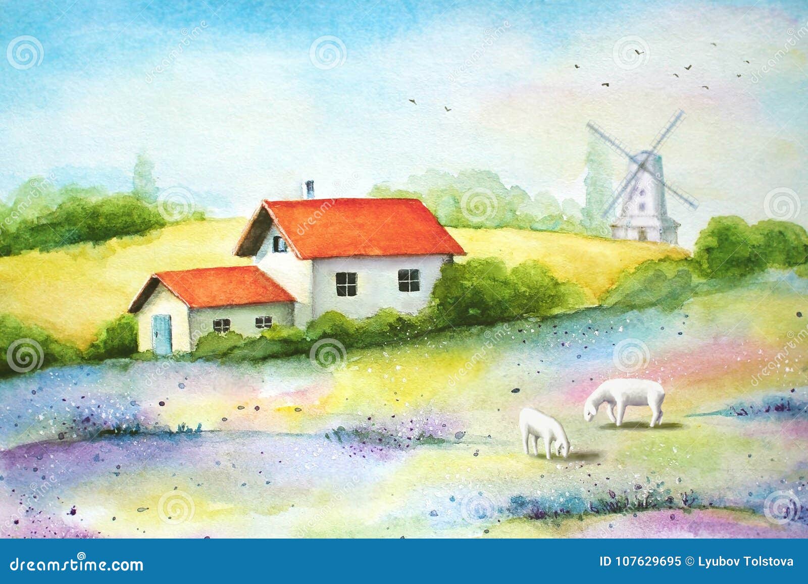 Rural landscape with fields, farm house, sheeps and a windmill. Watercolor vivid painting of countryside, rural landscape with wheat fields, wild flowers, small white farm house, sheeps and a windmill.