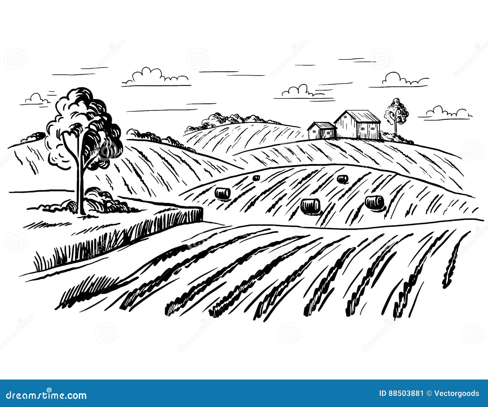 rural landscape in graphical style