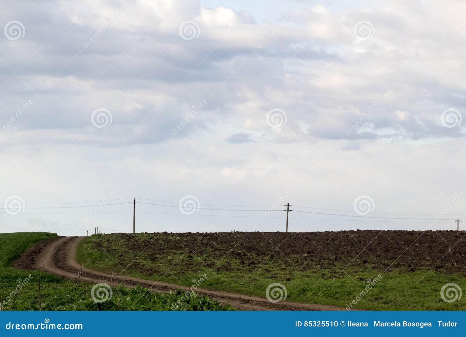rural landscape with green fields, soil texture and slops