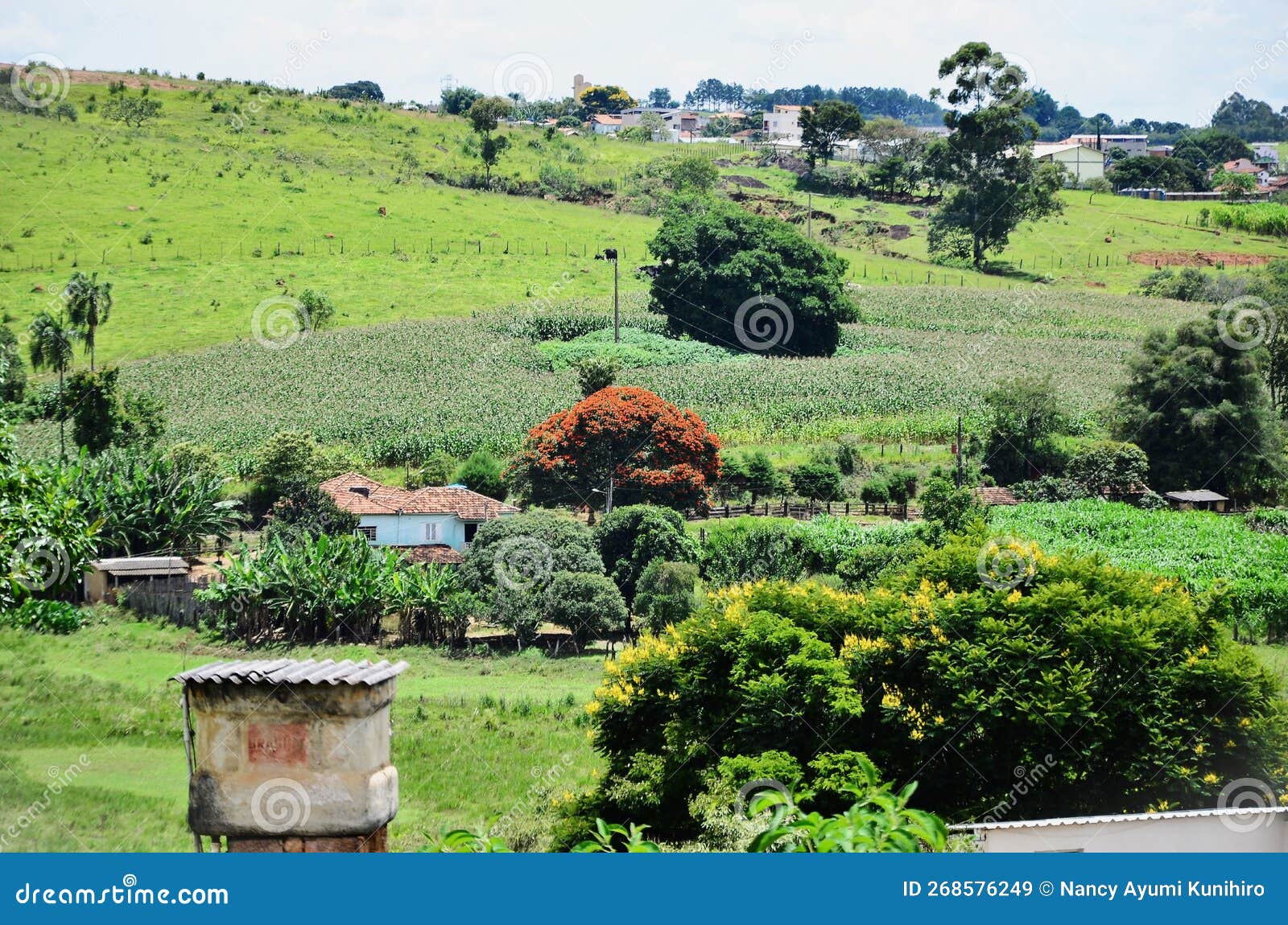 rural landscape in the middle of the small town of andrelÃ¢ndia