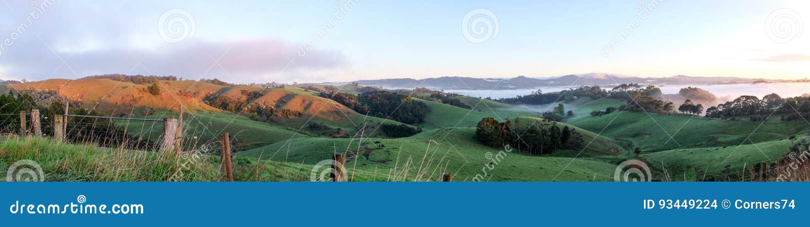 rural landscape panoroma warkworth, north island, new zealand nz