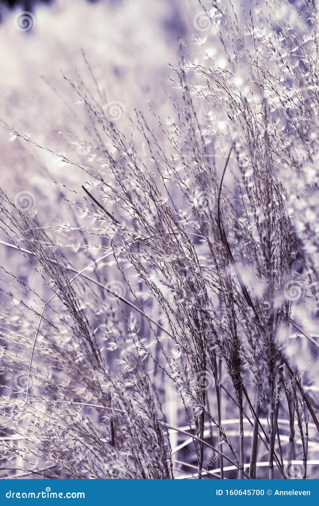 Vintage Rustic Grass and Field, Abstract Nature Background Stock Photo ...