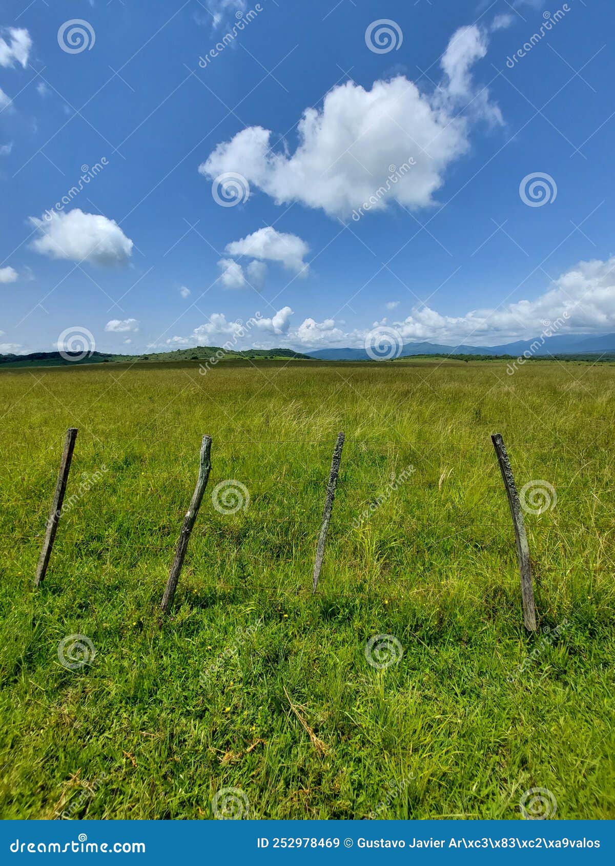 rural landscape of southamerica