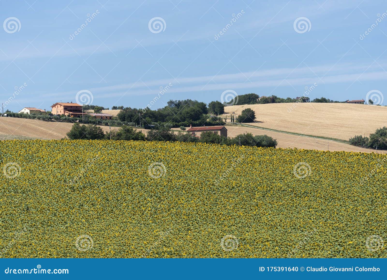 rural landscape near treia, marches