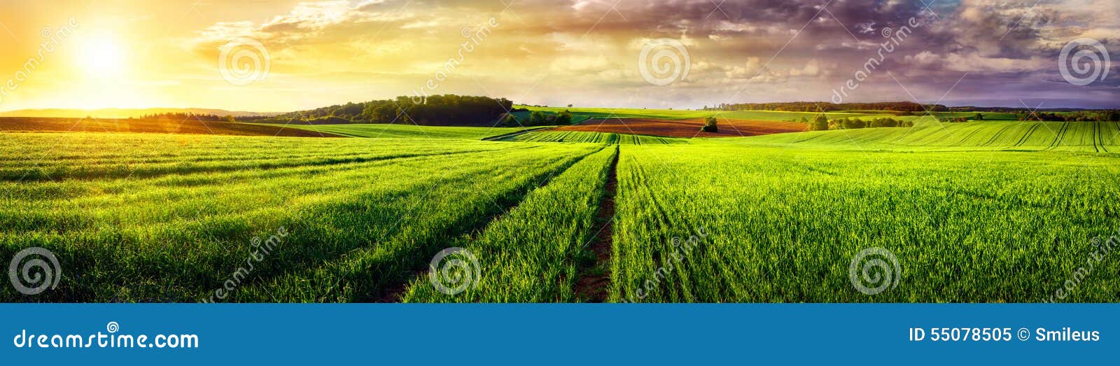 rural landscape sunset panorama