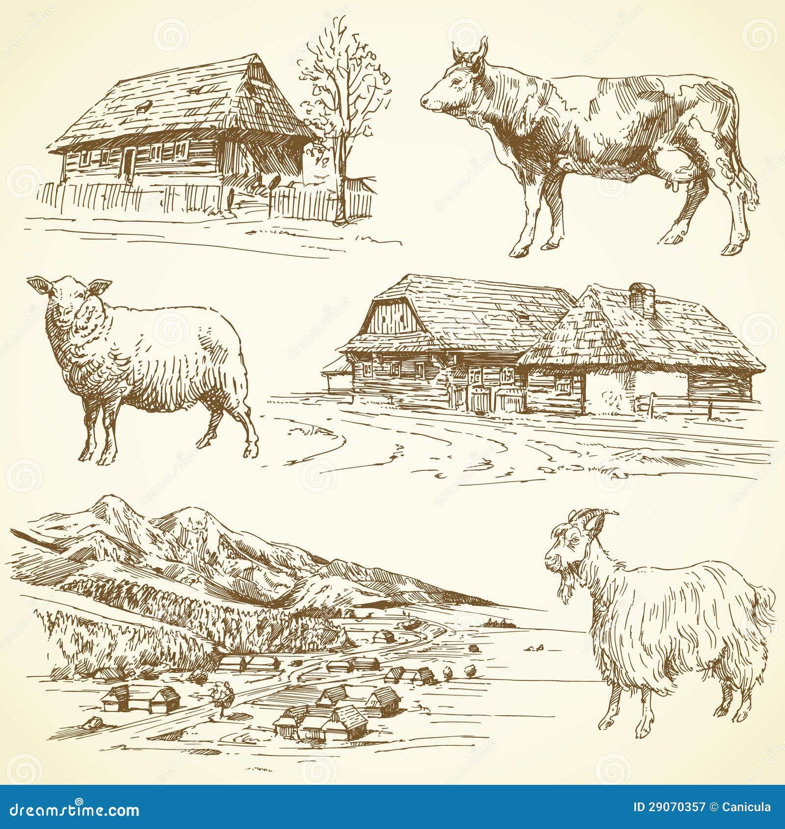 rural landscape, village, farm animals