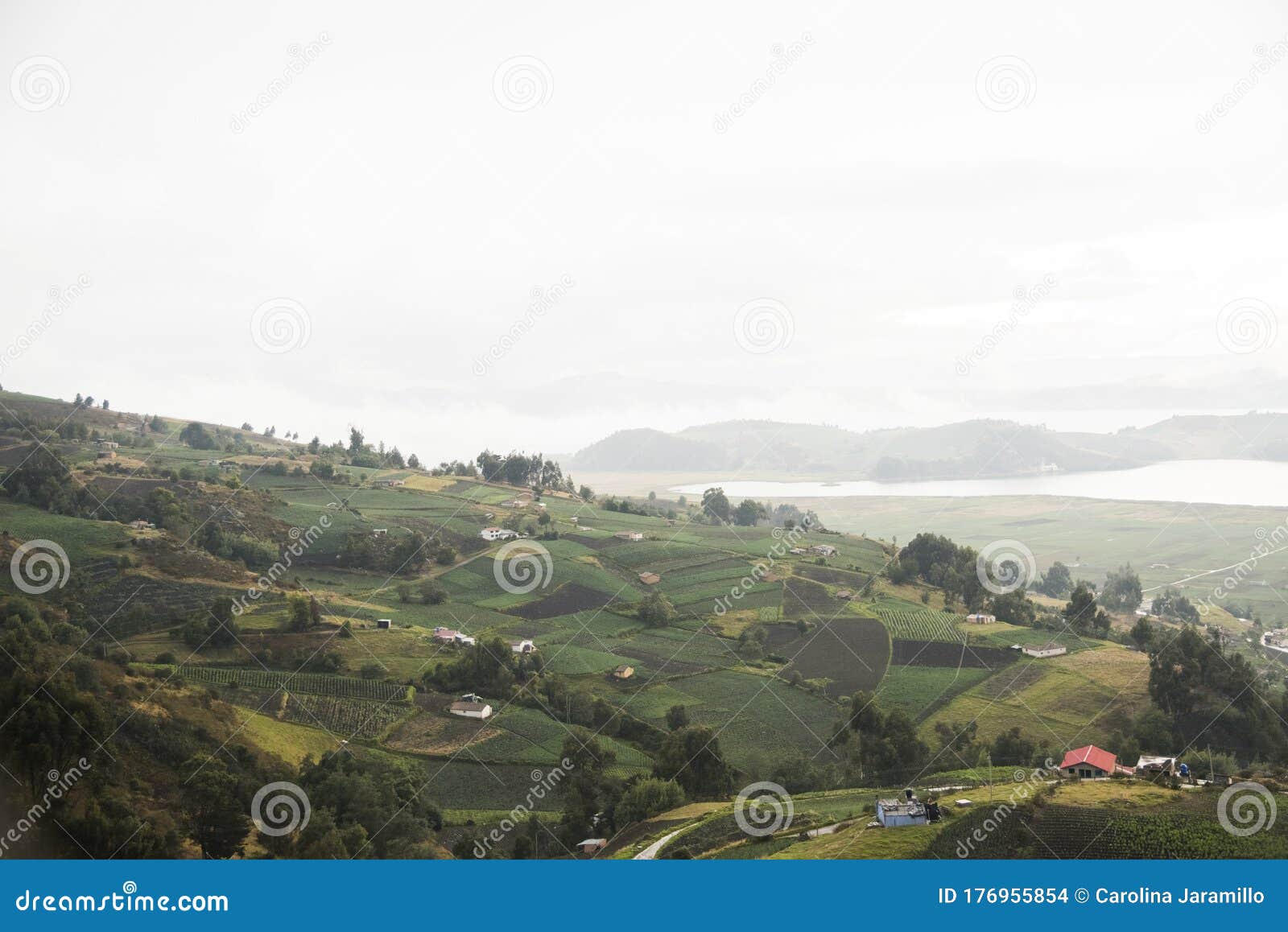 rural mountainous landscape; fields in aquitania, colombia, near lake tota
