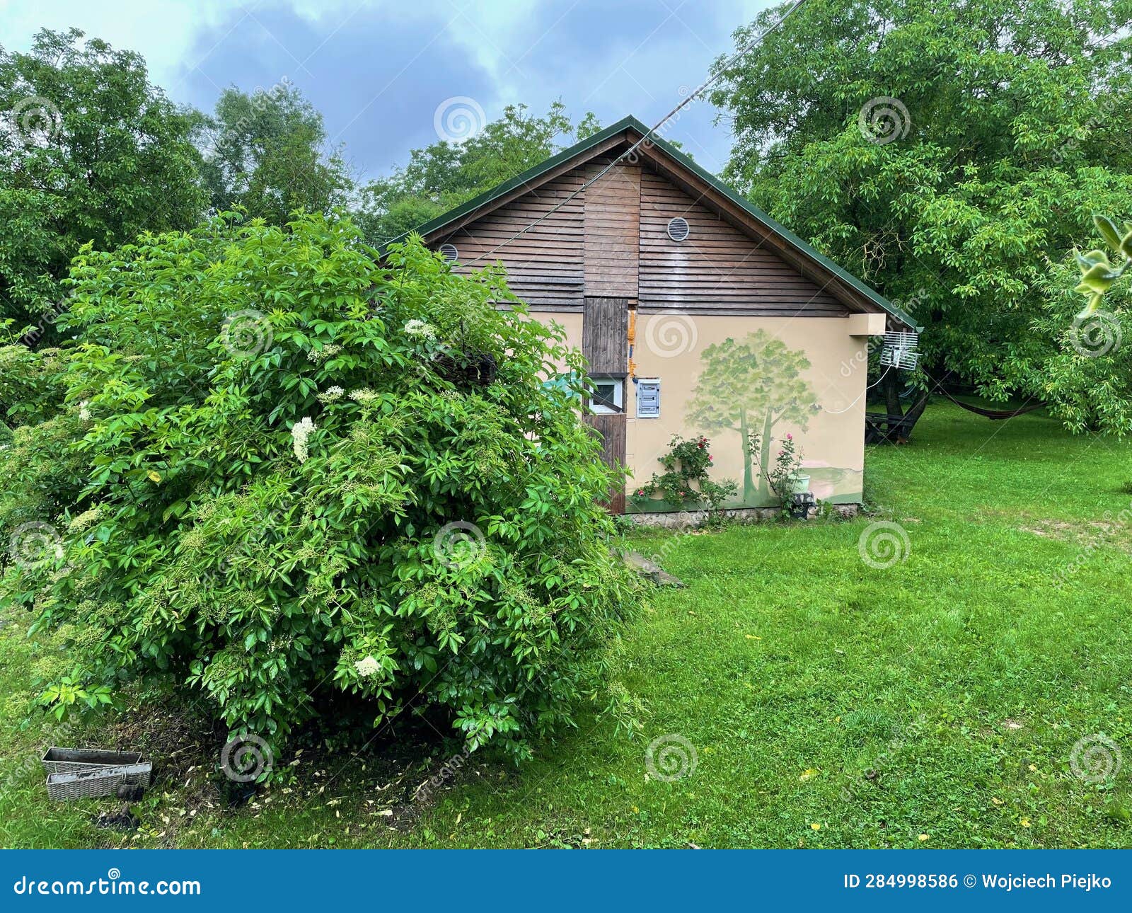 Rural Painted House, Lawn Around Stock Photo Image of floral, flower