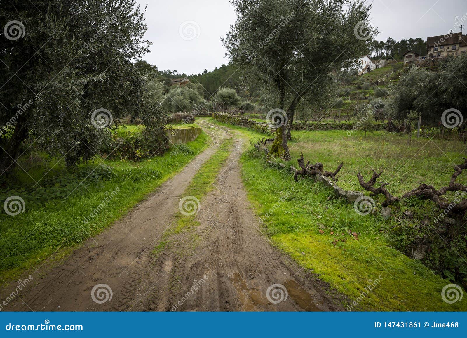 a rural path in barroca schist village