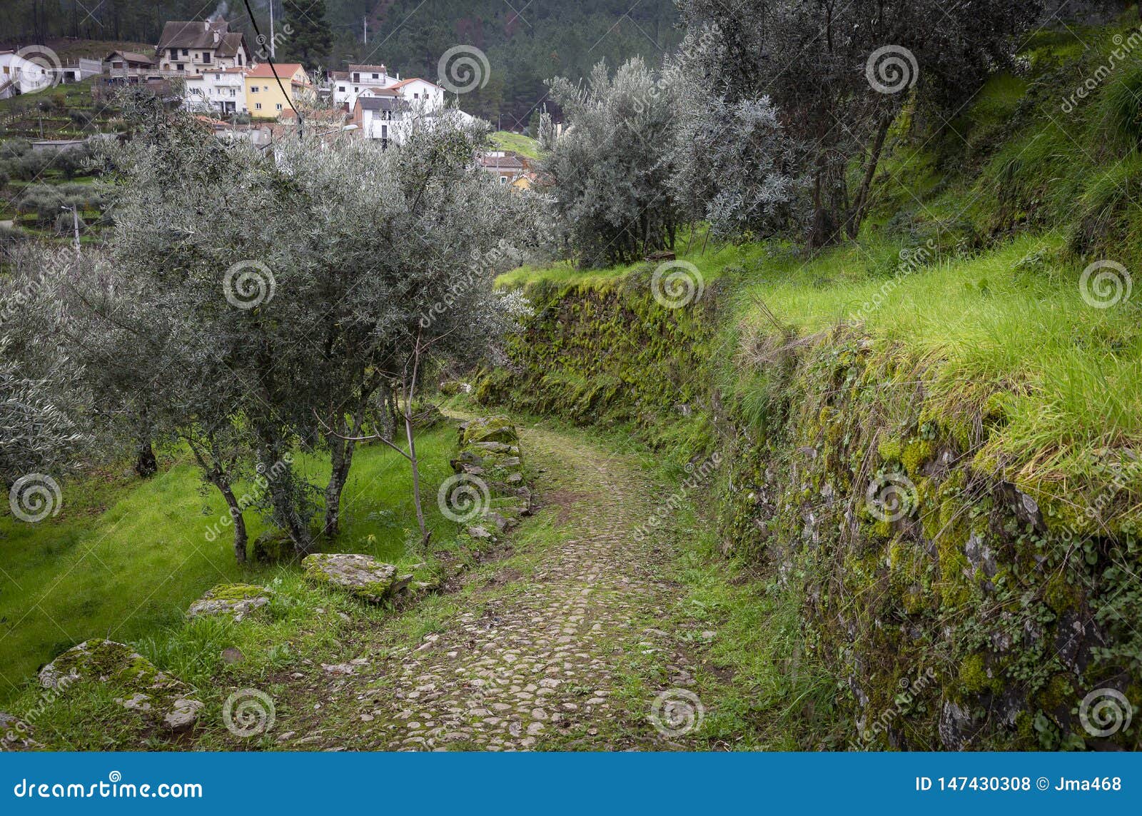 a rural path with stones in barroca schist village