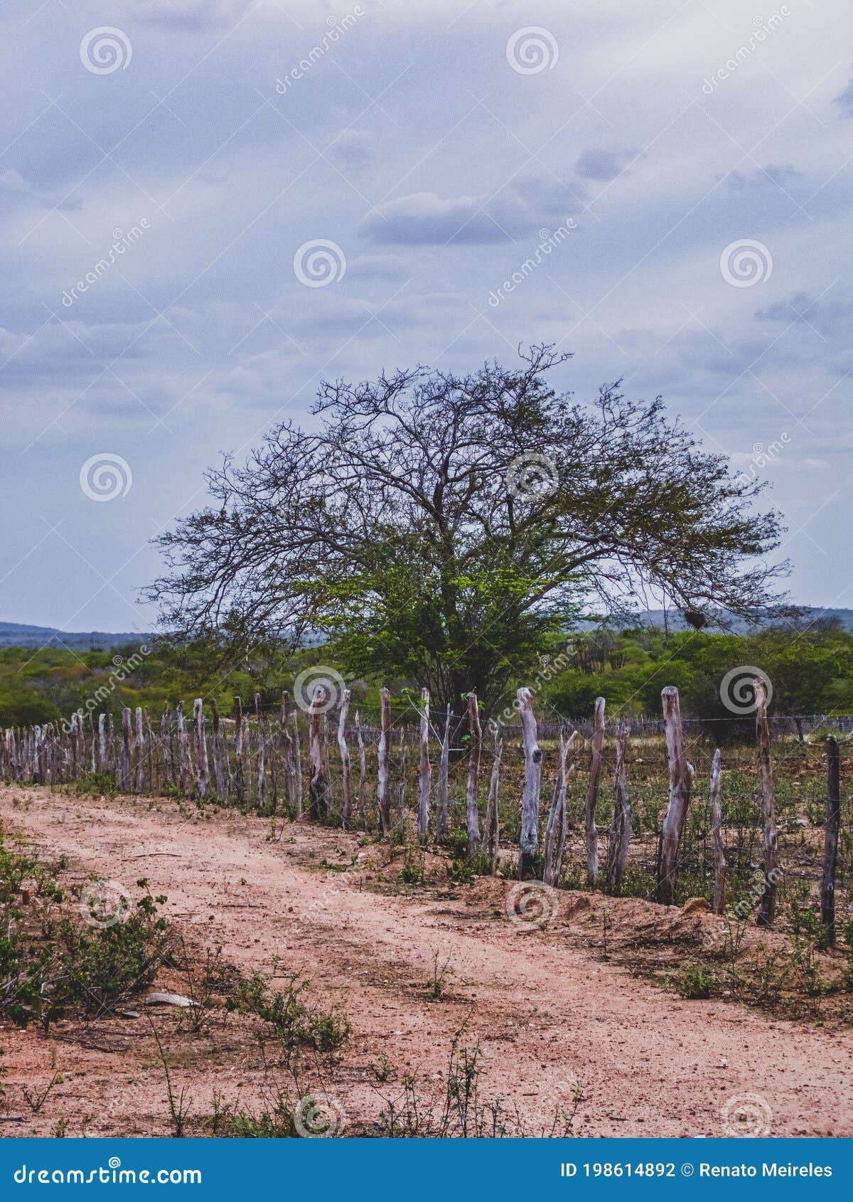 rural region of the brazilian northeastern interior. the semi-arid tropical climate has the caatinga as a vegetation biome.