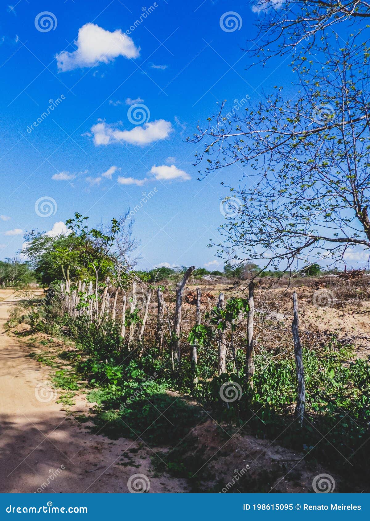rural region of the brazilian northeastern interior. the semi-arid tropical climate has the caatinga as a vegetation biome.