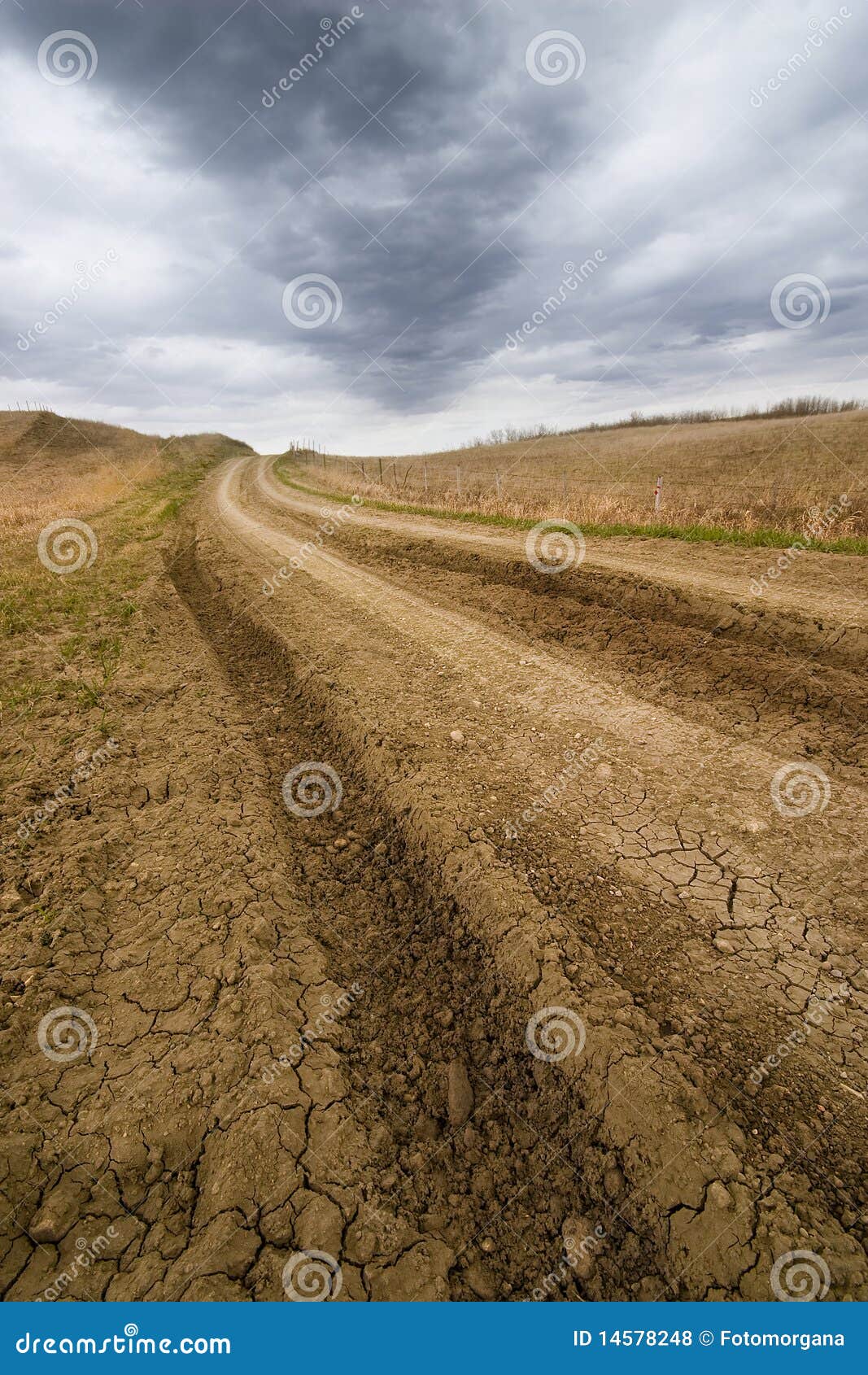 Rural road. Dirt road in prairie with sky
