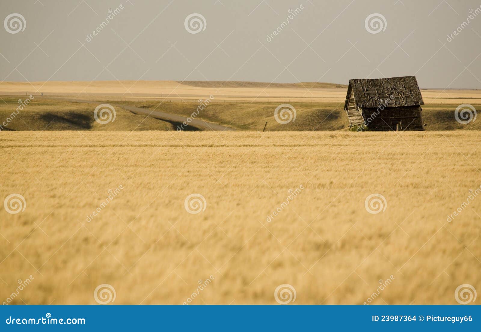 Rural Saskatchewan stock photo. Image of horizontal, outdoors 23987364