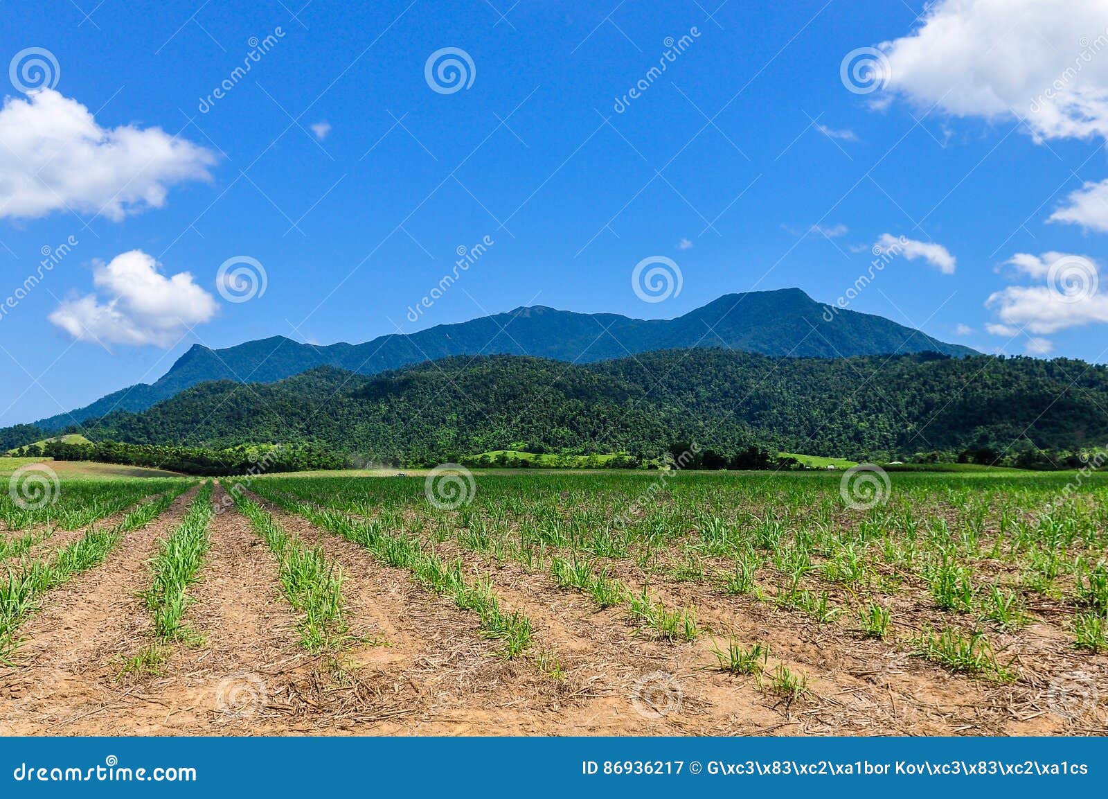 Rural Scenery, Atherton Tablelands, Australia Stock Image Image of