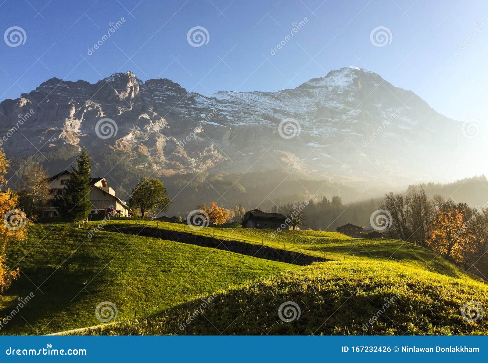 Rural Scenery Of Grindelwald Switzerland Stock Photo Image Of Summer Snow 167232426 Rural Scenery Of Grindelwald Switzerland Stock Photo Image Of Summer Snow 167232426