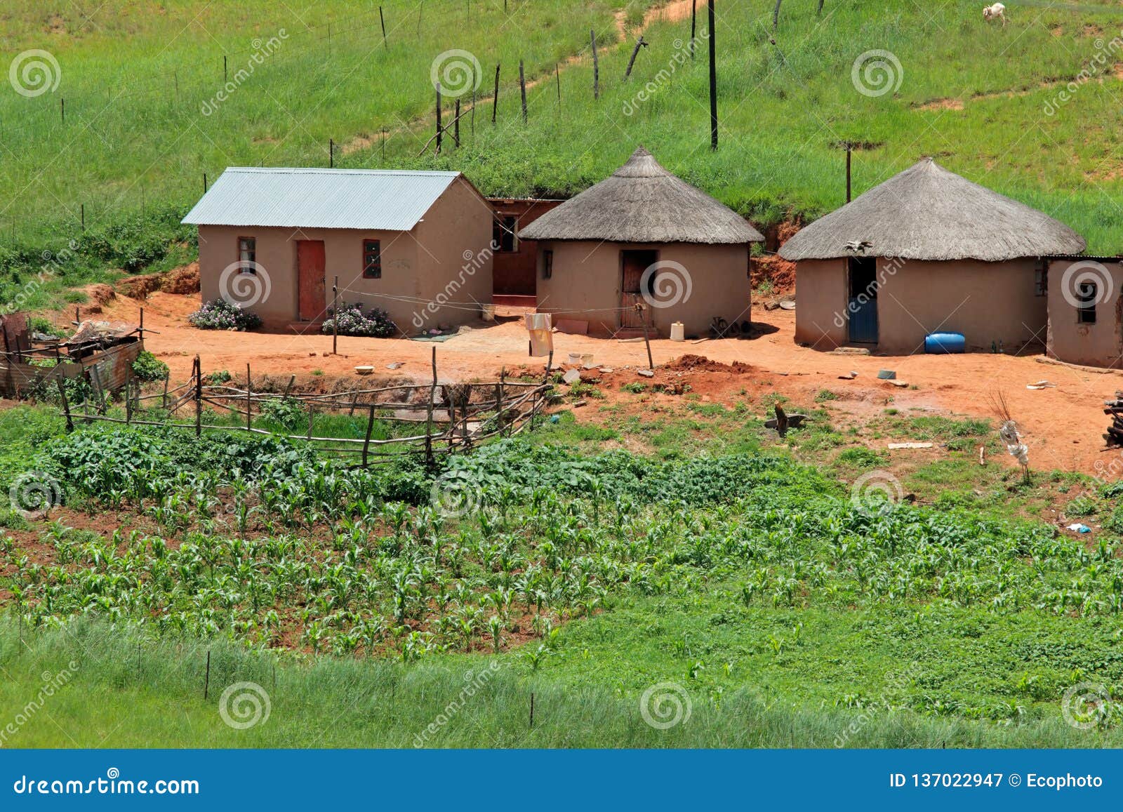 rural settlement - south africa