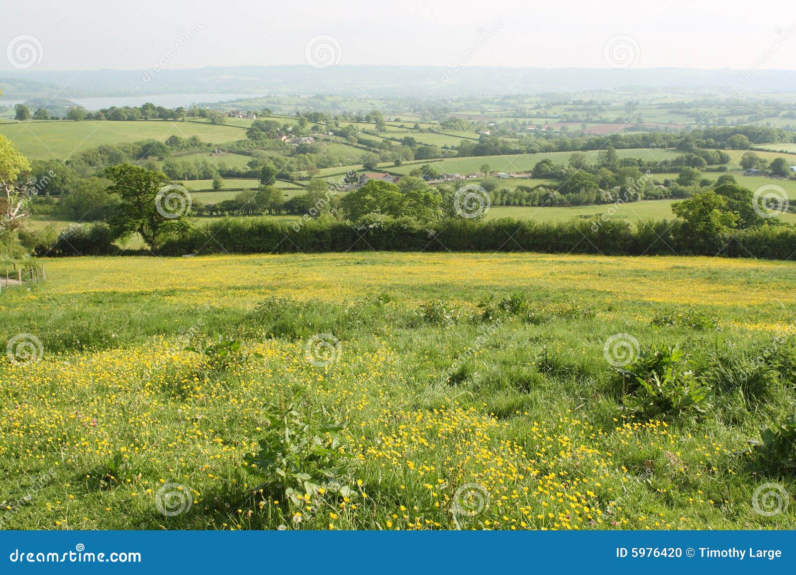 Rural Somerset stock photo. Image of farm, field, rural 5976420