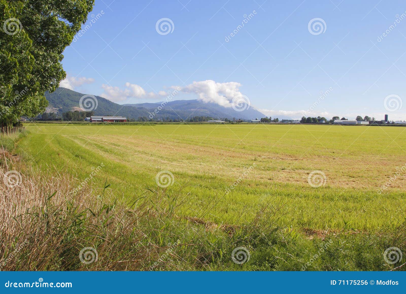 Rural Valley Landscape stock photo. Image of countryside 71175256
