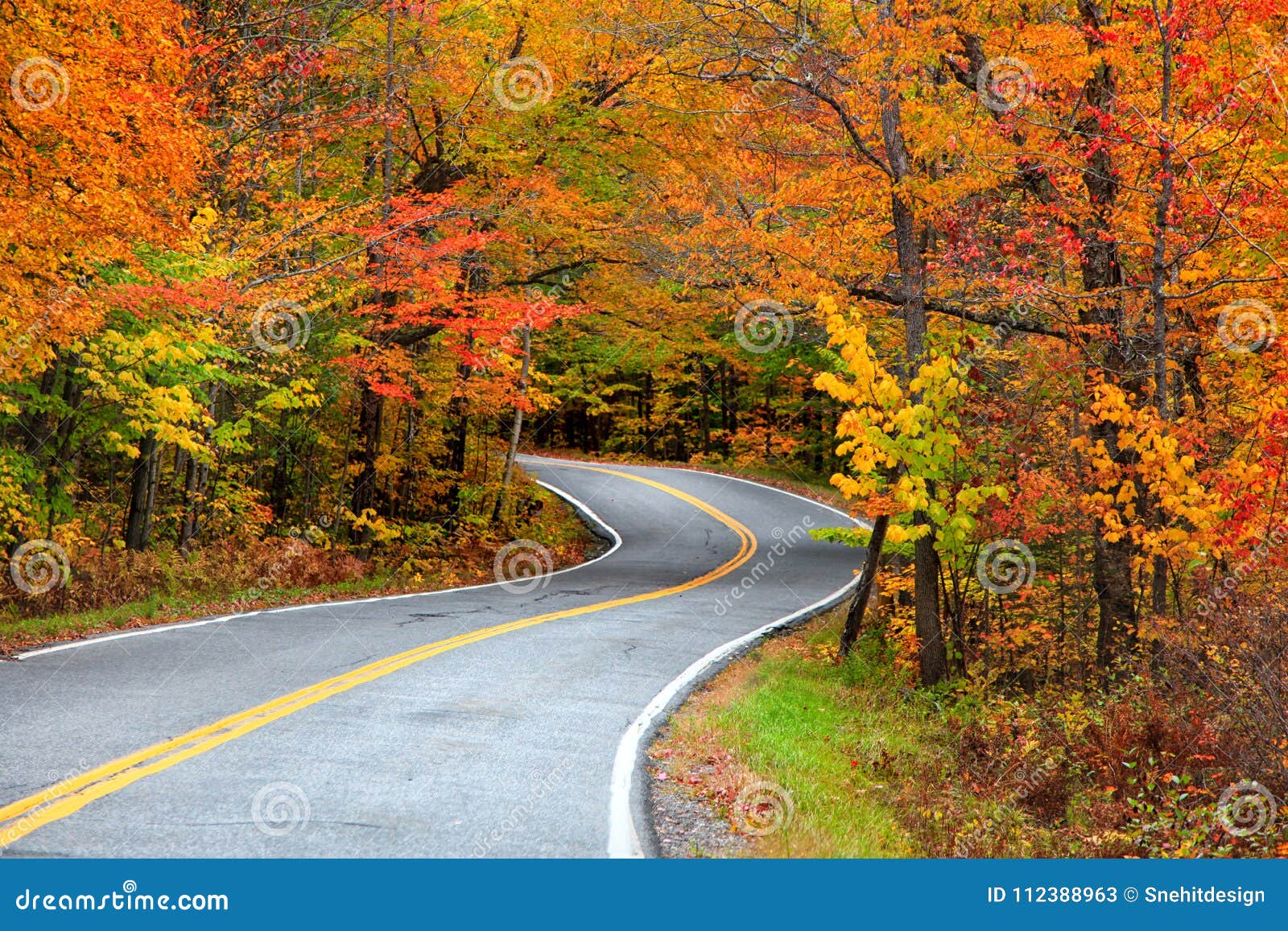 Rural Vermont Drive in Autumn Time Stock Image Image of fences, barn
