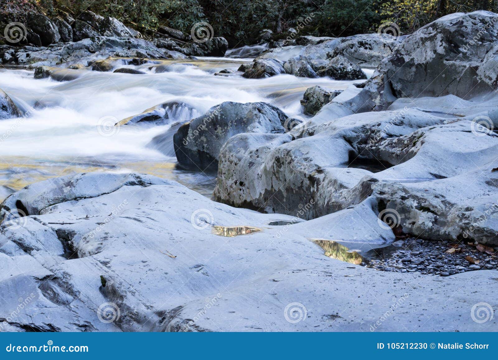 Rushing River Water with Reflections of Gold Fall Foliage Stock Photo