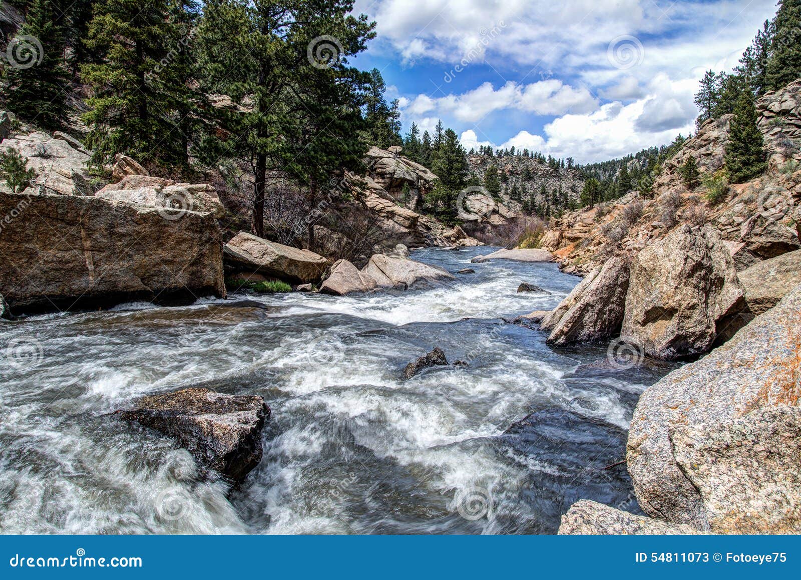 rushing stream river water through eleven mile canyon colorado