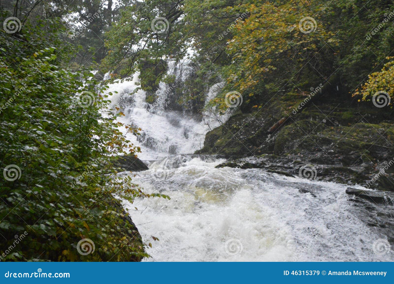 Rushing waters stock image. Image of nature, rapids, rushing 46315379