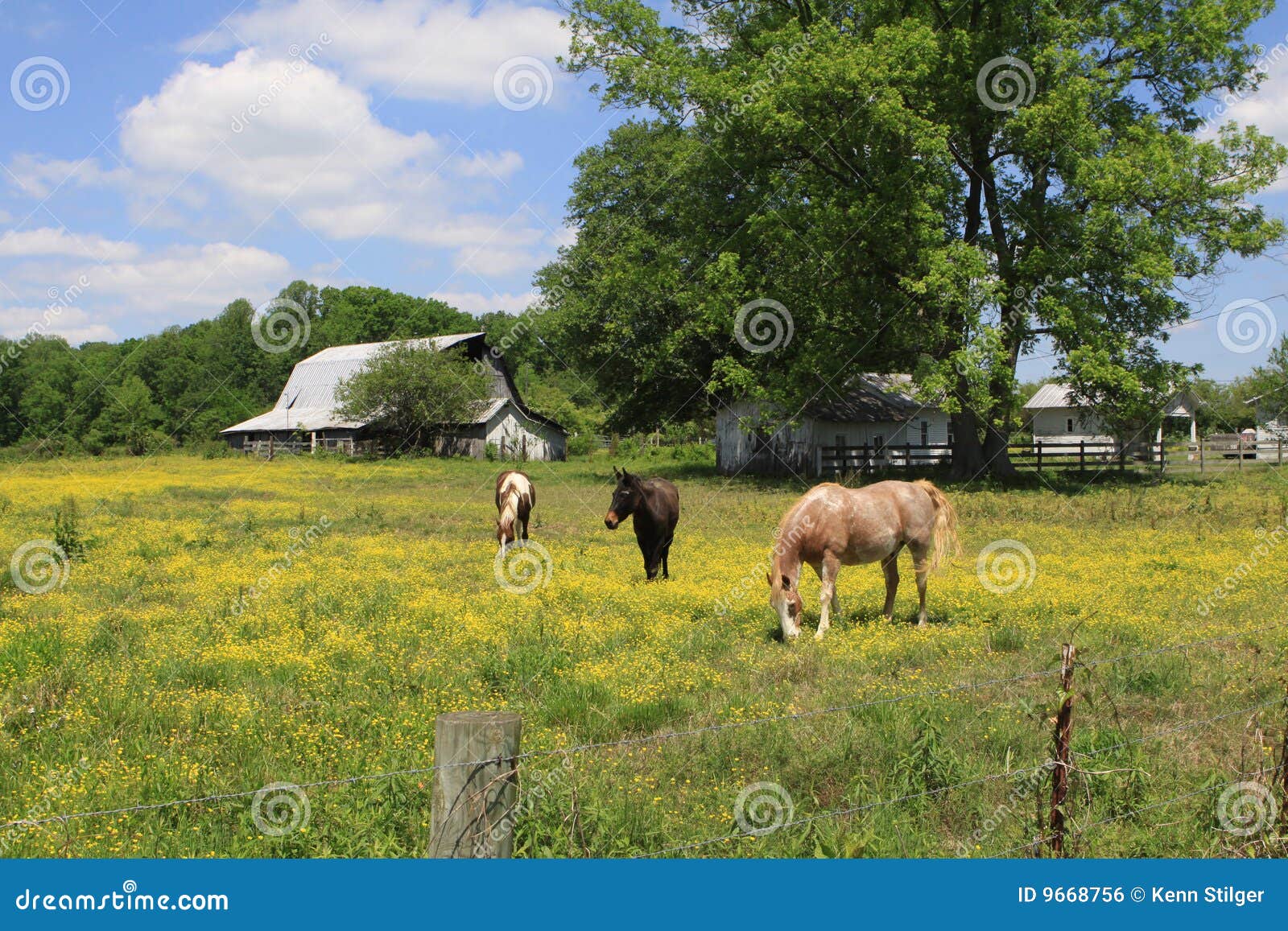 rusitic barn in rural tennessee