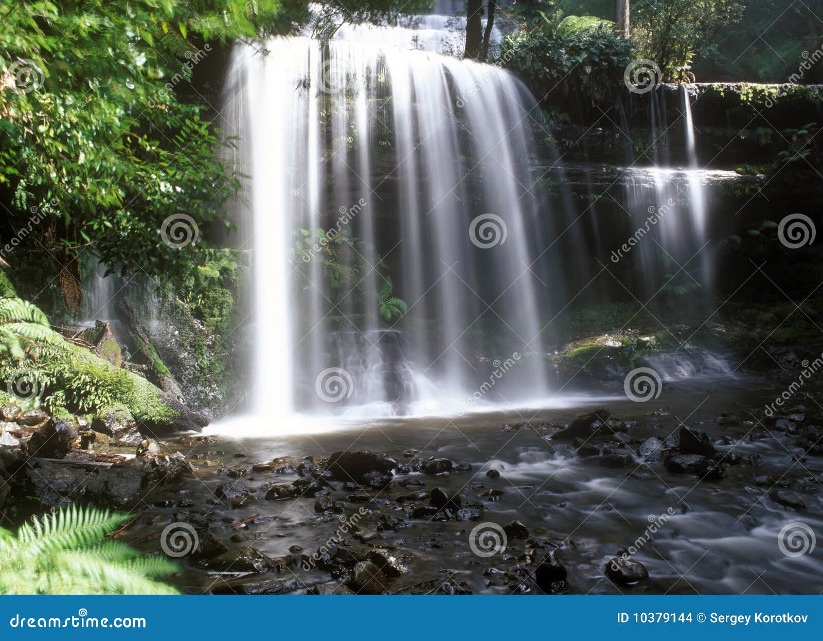 Russell Falls stock photo. Image of cascades, blurred 10379144