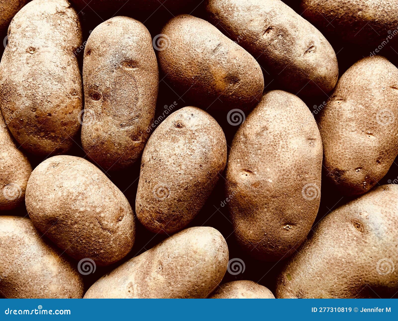 Russet potatoes stock image. Image of food, crop, ripe - 277310819